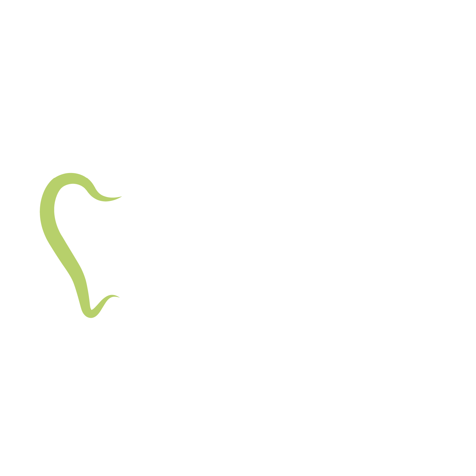 Witte Tanden Oisterwijk, cl&iacute;nica dental, Pa&iacute;ses Bajos