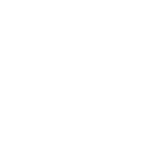 The Wooden House